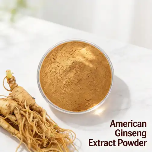American Ginseng Extract Powder for Nootropic and Brain Health Formulas